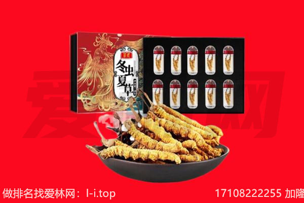 路南区回收虫草.jpg